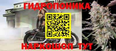 ПСИЛОЦИБИНОВЫЕ ГРИБЫ Аргун