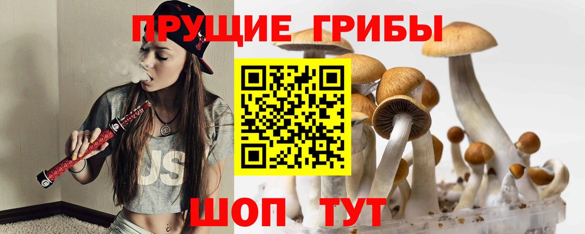Галлюциногенные грибы прущие грибы  Вход с VPN  Бахчисарай  Галлюциногенные грибы GOLDEN TEACHER 