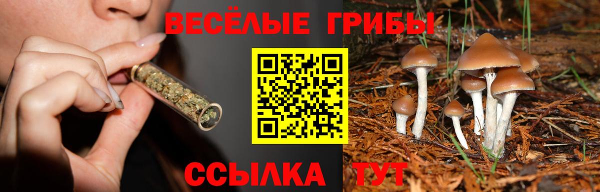 Галлюциногенные грибы прущие грибы Бахчисарай